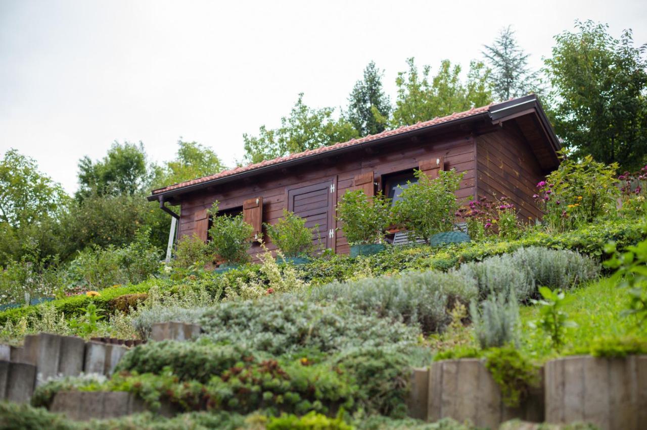 Apartmani Strsoglavec Krapinske Toplice Exterior foto